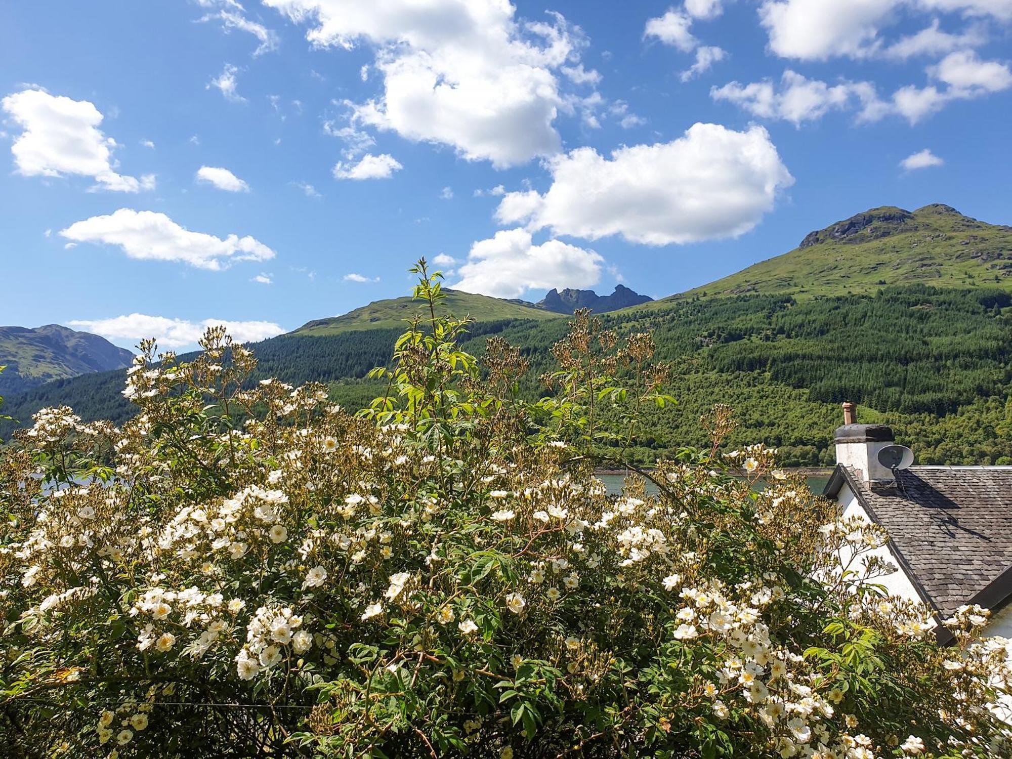 Rowantree Cottage Arrochar Dış mekan fotoğraf